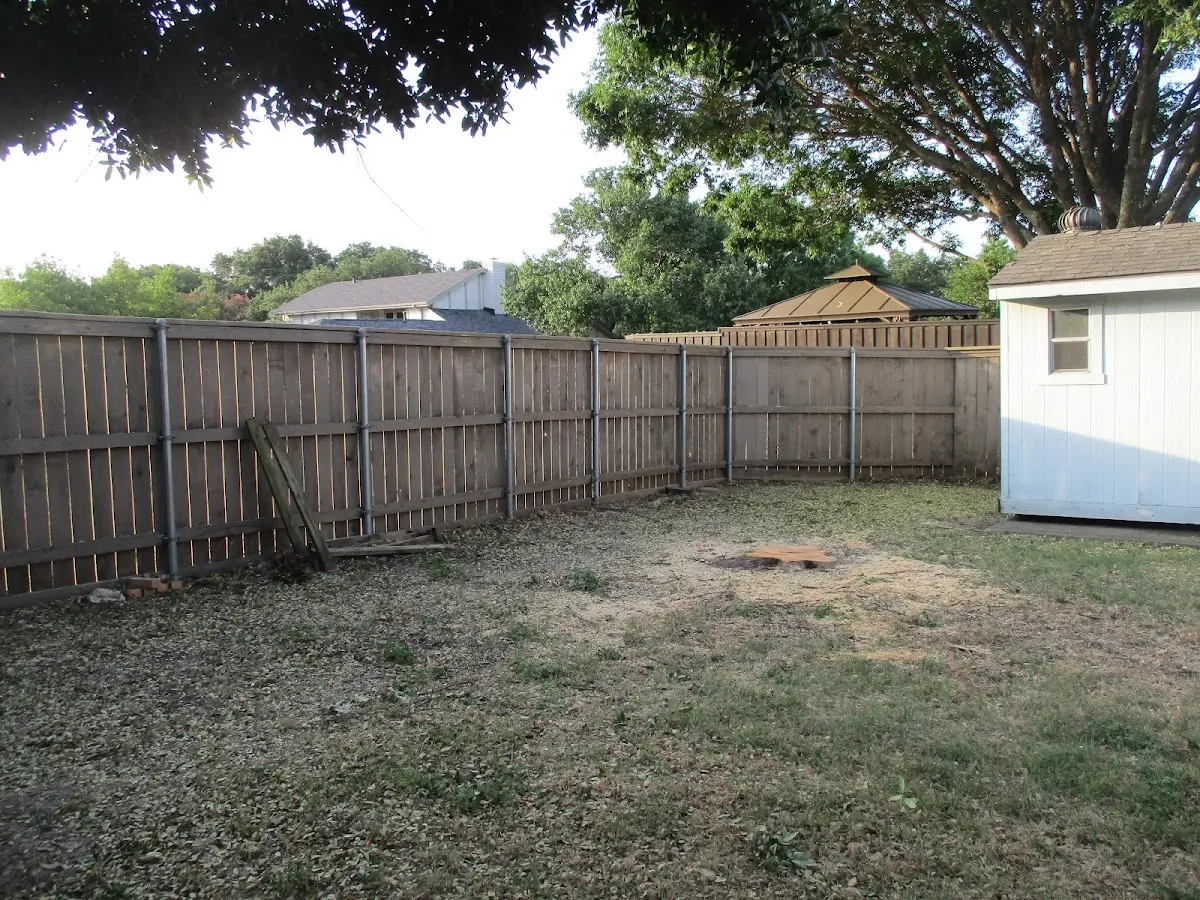 Cleared yard after professional tree removal in Galveston